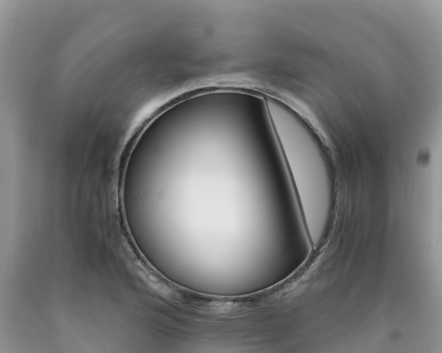 X0000090721176200707201007