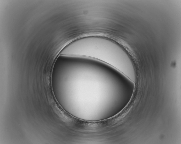 X0000090721177200707201007