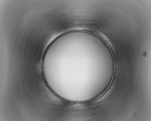 X0000090721178200707201007