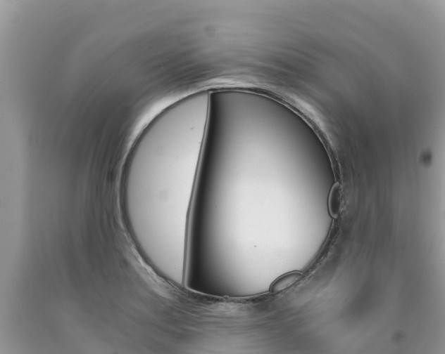 X0000090721179200707201007