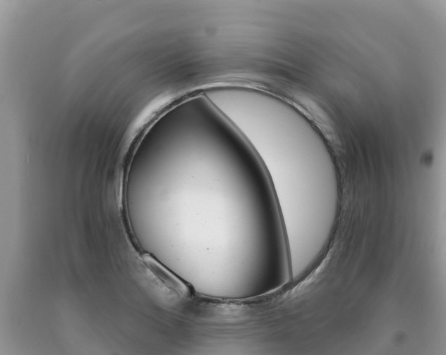 X0000090721180200707201007