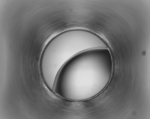 X0000090721181200707201007