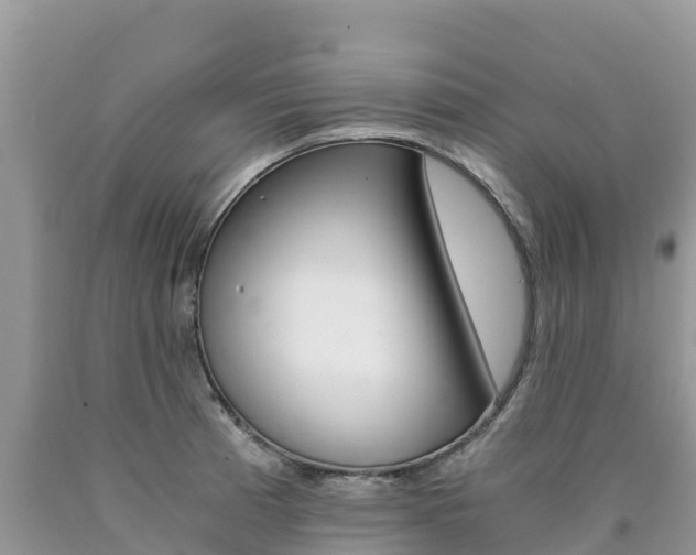 X0000090721185200707201007