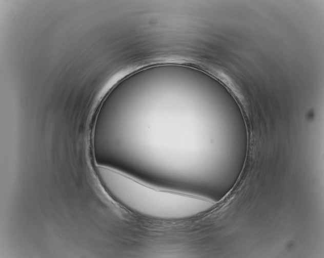 X0000090721187200707201007