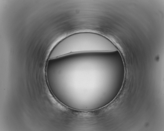 X0000090721189200707201007