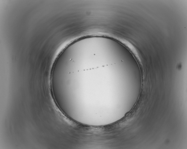 X0000090721191200707201007