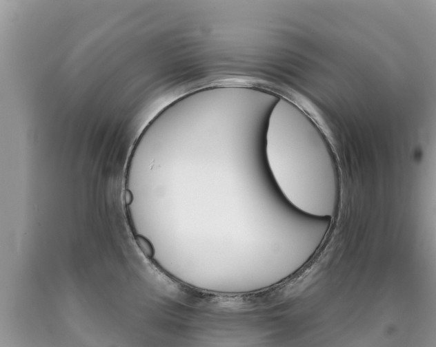 X0000090721194200707201007