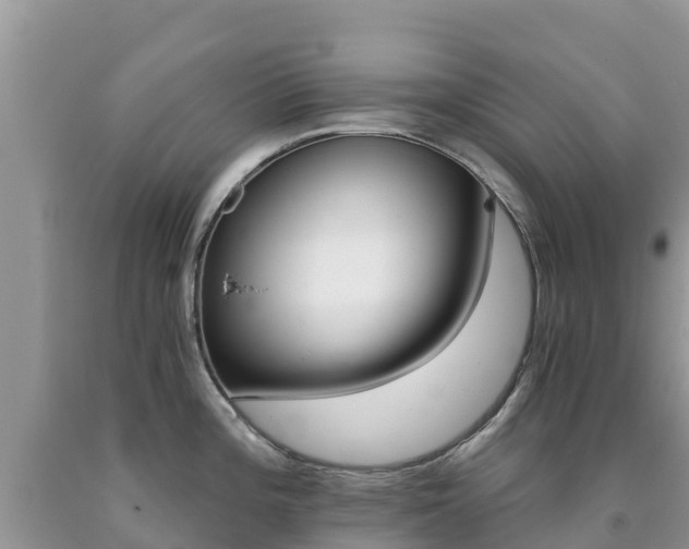 X0000090721196200707201007