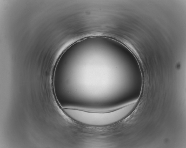 X0000090721197200707201007