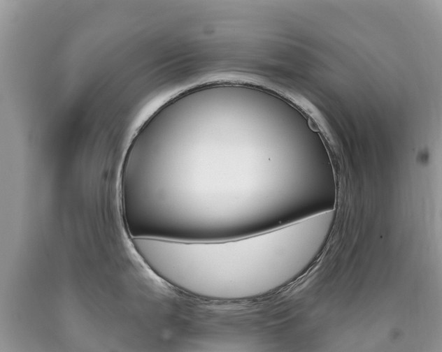 X0000090721199200707201007