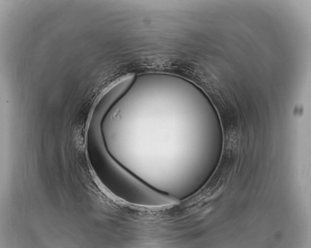 X0000090721202200707201006
