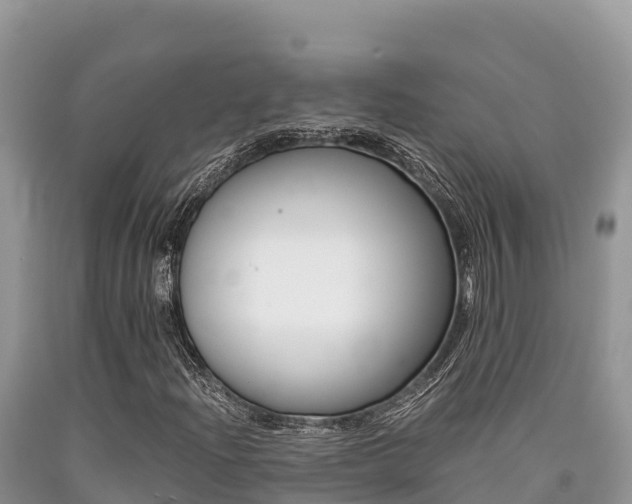 X0000090721204200707201006