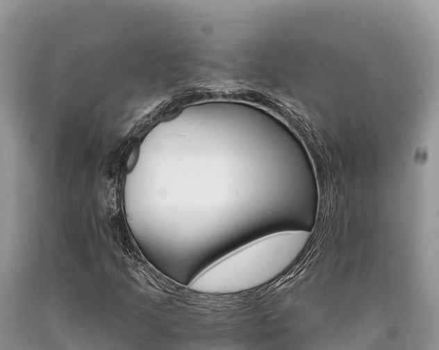 X0000090721205200707201006