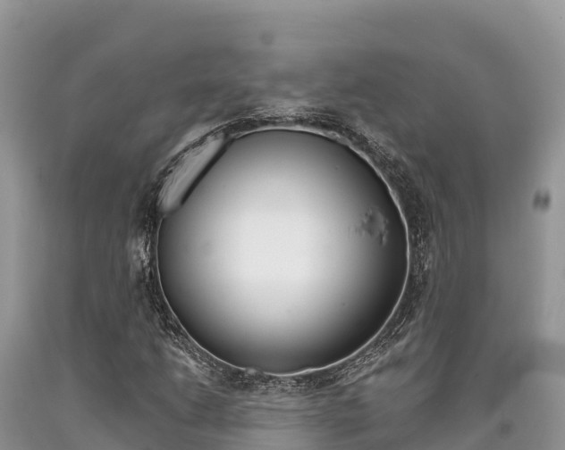 X0000090721206200707201006