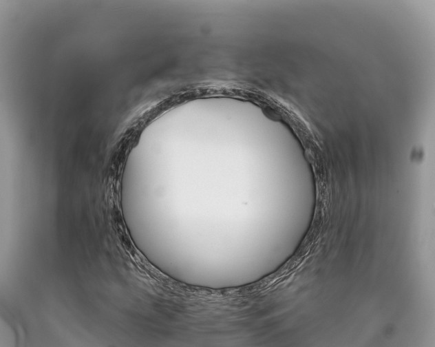 X0000090721207200707201006