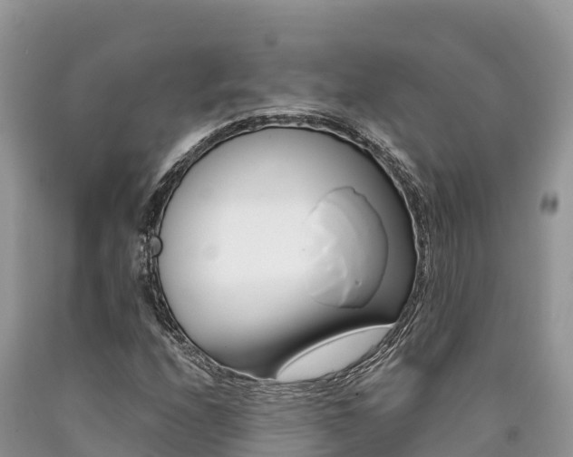 X0000090721208200707201006