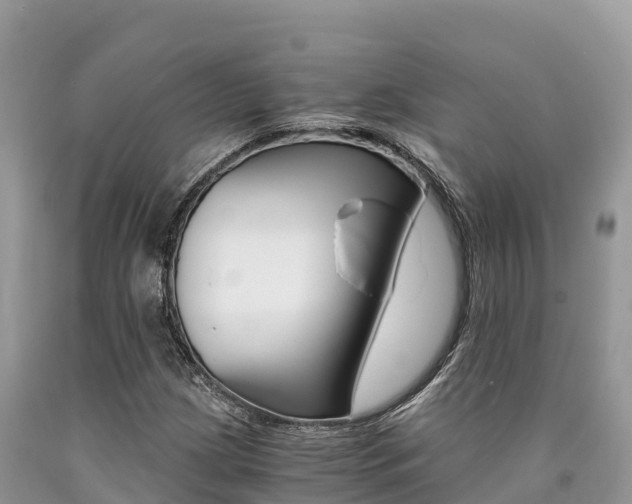 X0000090721209200707201006
