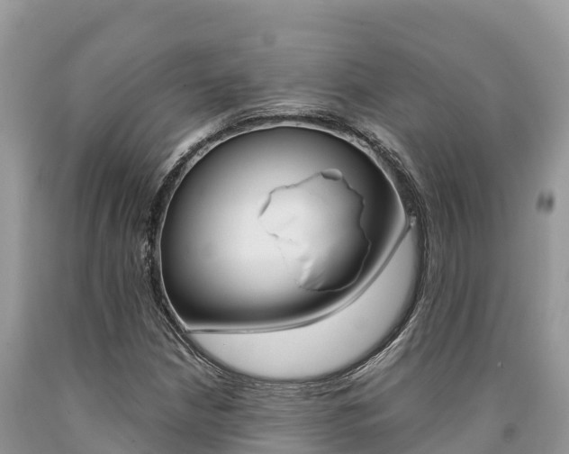 X0000090721210200707201006