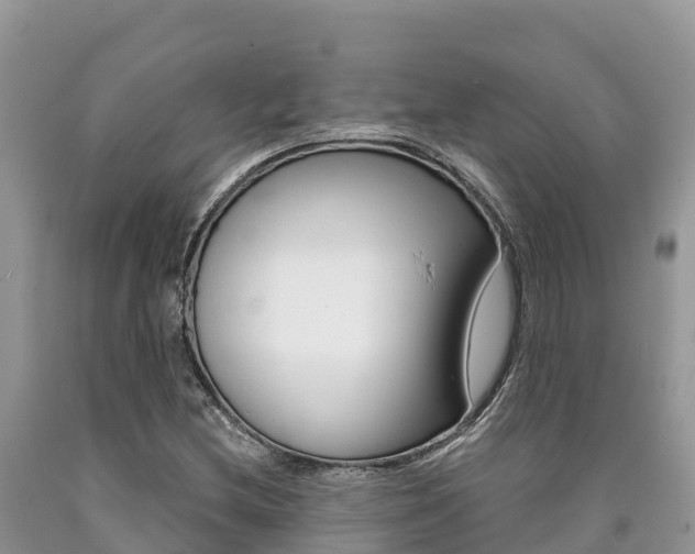 X0000090721212200707201006