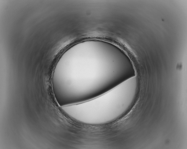 X0000090721213200707201006