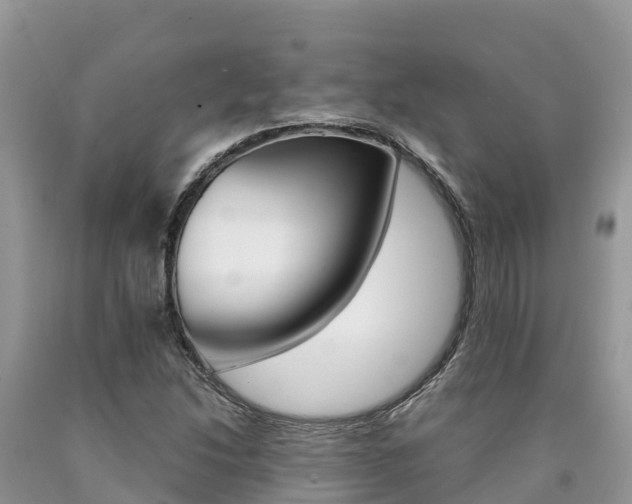 X0000090721214200707201006