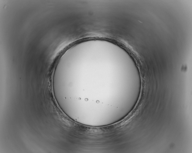 X0000090721215200707201006