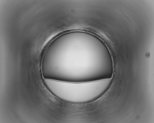 X0000090721216200707201006