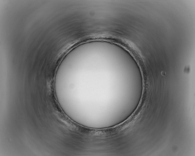 X0000090721217200707201006