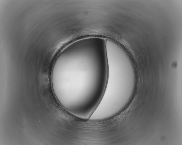 X0000090721218200707201006