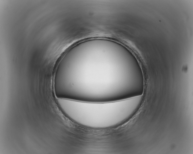 X0000090721220200707201006