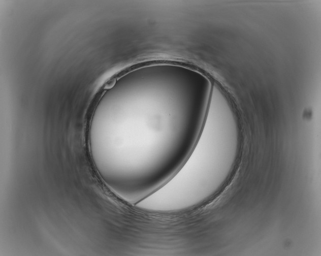 X0000090721222200707201006