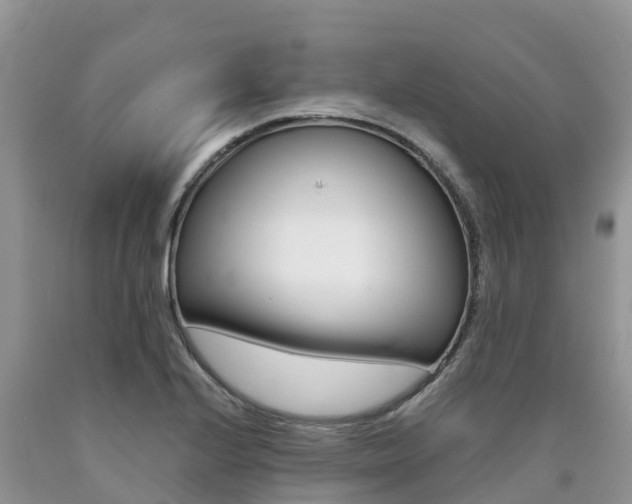 X0000090721224200707201006