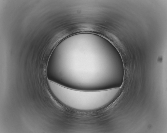 X0000090721225200707201006