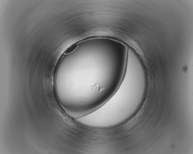 X0000090721226200707201006