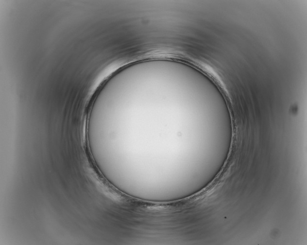 X0000090721227200707201006