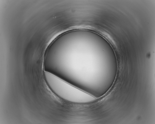 X0000090721228200707201006