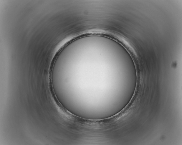 X0000090721229200707201006