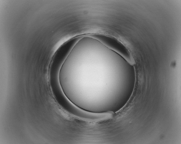X0000090721230200707201006