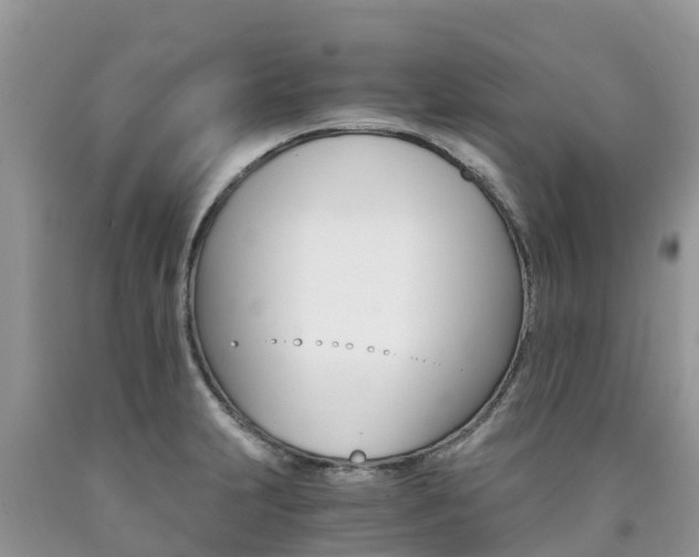 X0000090721231200707201006