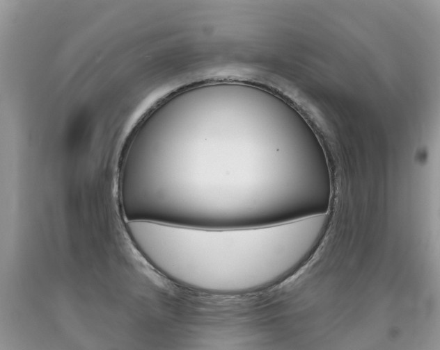 X0000090721232200707201006
