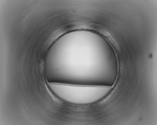 X0000090721233200707201006