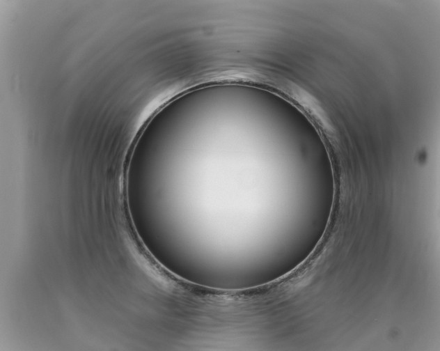 X0000090721234200707201006