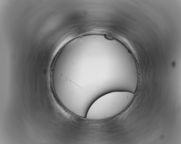 X0000090721235200707201006