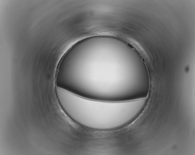 X0000090721236200707201006