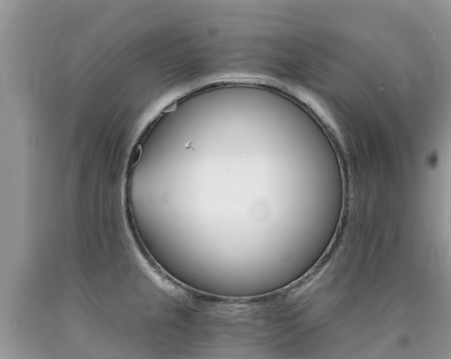 X0000090721237200707201006