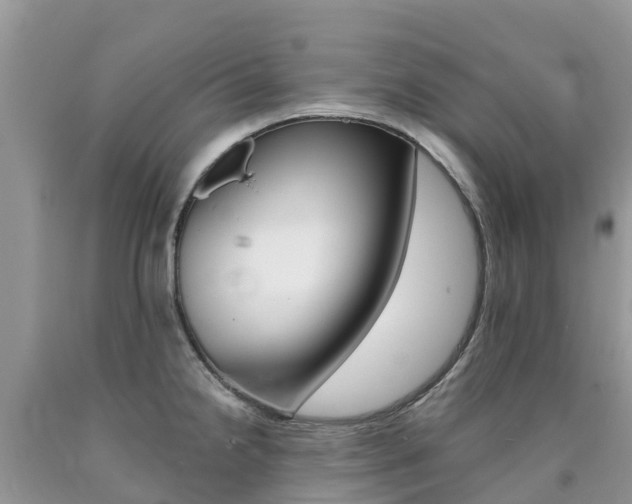 X0000090721238200707201006