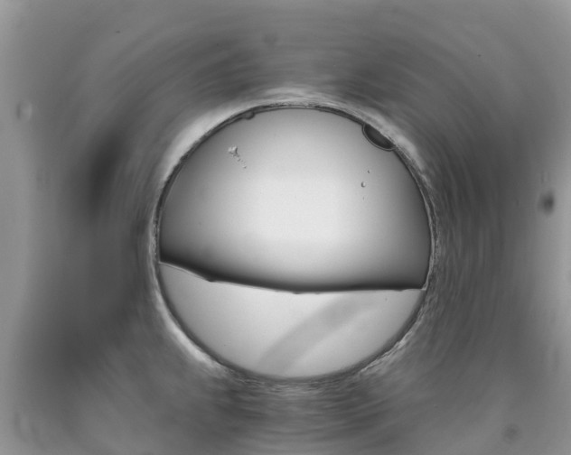 X0000090721239200707201006