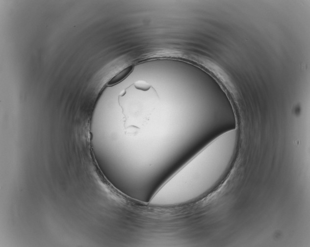 X0000090721241200707201007