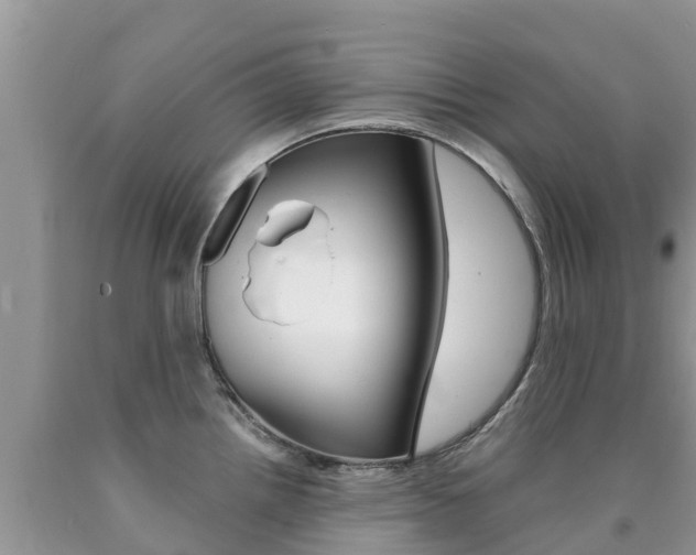X0000090721242200707201007