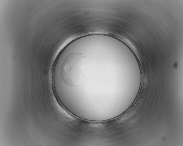 X0000090721243200707201007